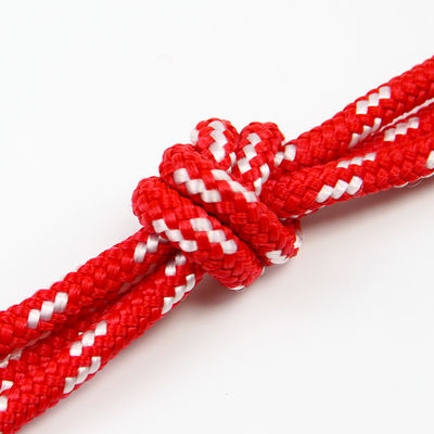 Zacht Nylon Gevlecht Koorddubbel het Beklimmen van Kabel voor de Kraag van de Hondkabel Met hoge weerstand