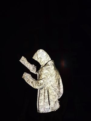 Zilveren Lichtgevende Sterke Weerspiegelende Rekstof Hoog Vis Jacket Material EN20471 ANSI107